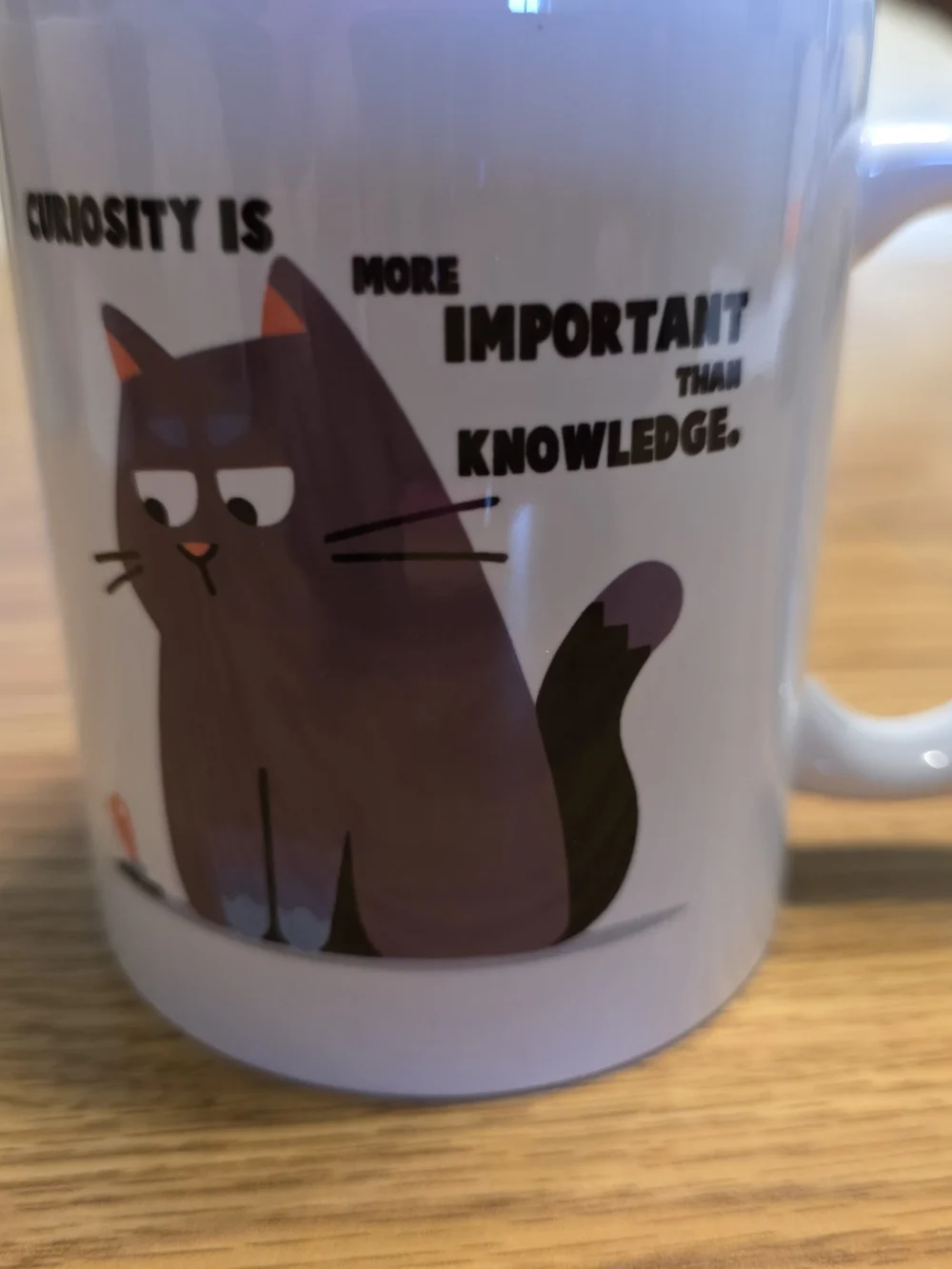 Two Ceramic Cat Raised Food Bowls And Cat Coffee Cup